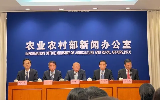 乡村网红的画像是怎样炼成的?