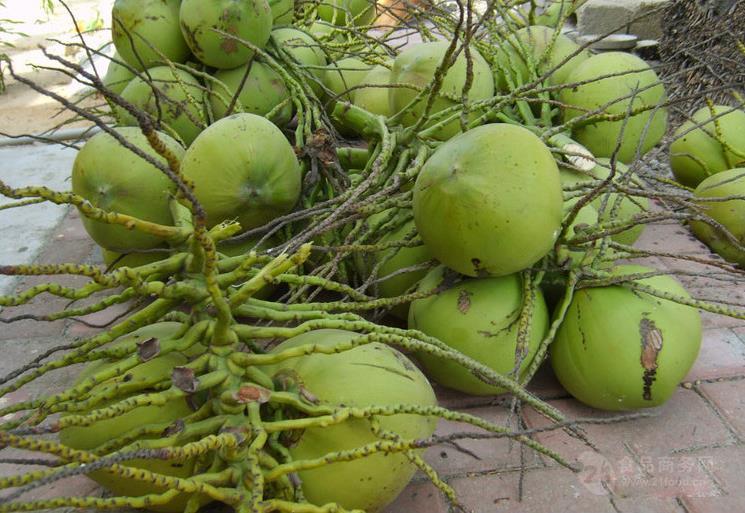 海口天气_海口_海口旅游攻略