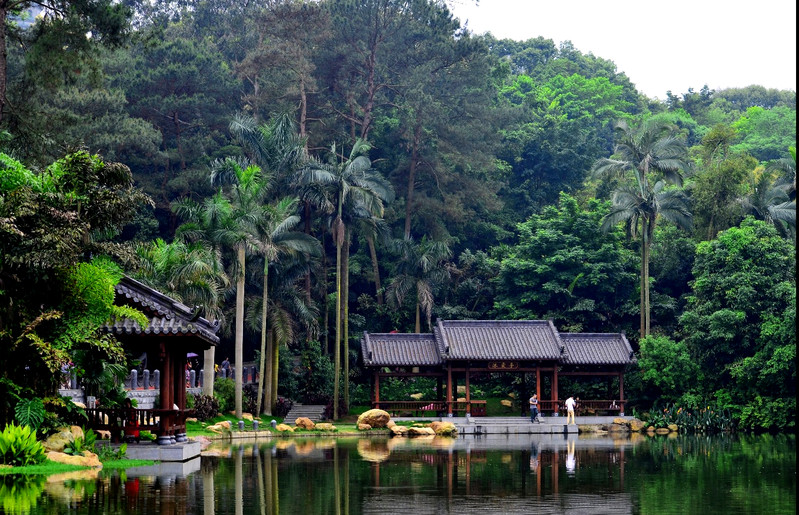 中国骑楼博物城4A景区有哪些?广西农业旅游示范点(图2) 梧州南到梧州骑楼街_梧州天气_梧州