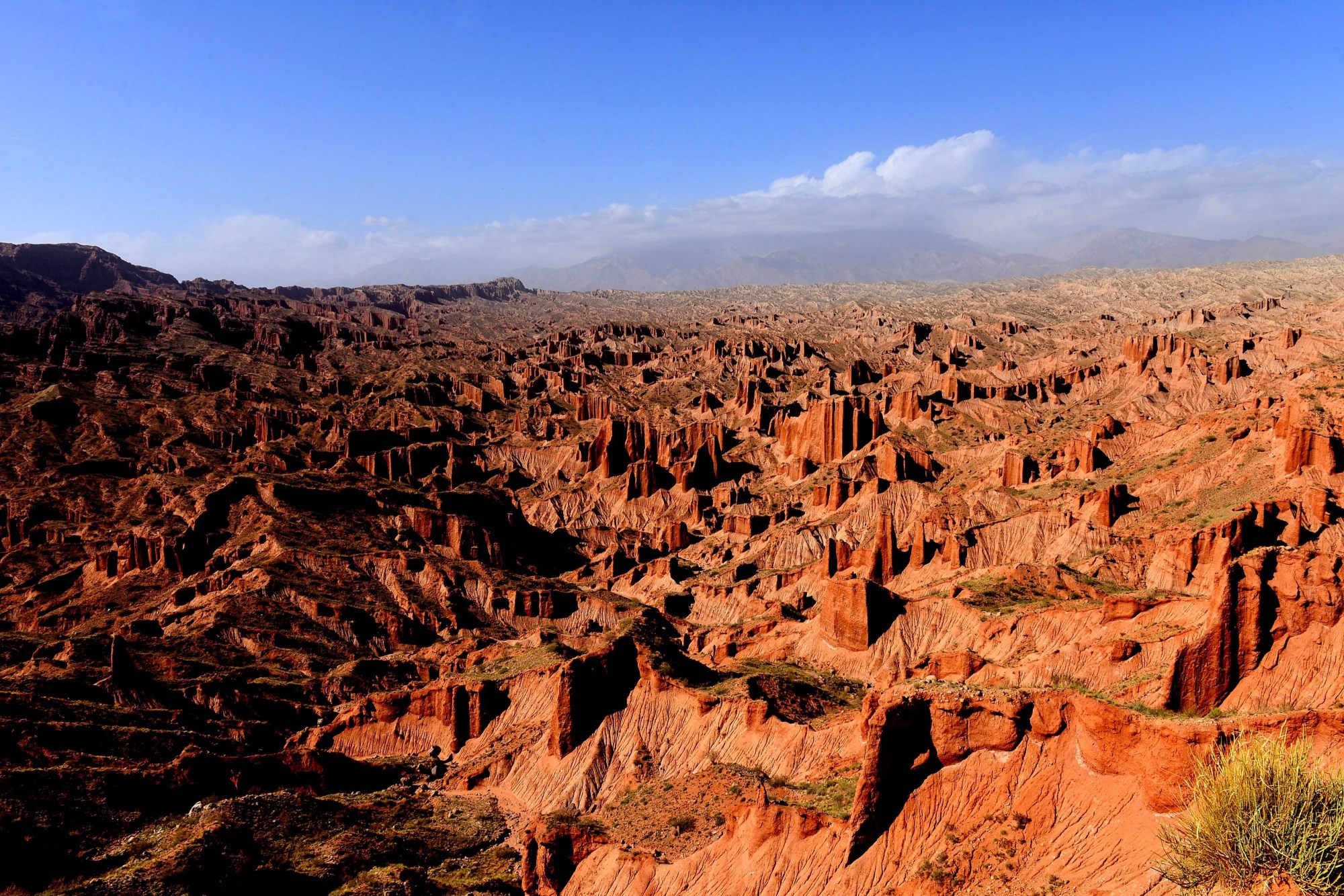 吐鲁番_吐鲁番的葡萄熟了_吐鲁番物流