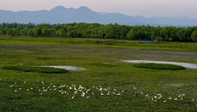 巢湖风景名胜区怎么样巢湖旅游景点景观景点综述