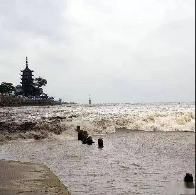 海宁皮革城_海宁天气海宁天气_海宁