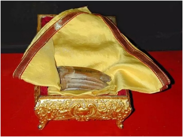 中国佛教界首次组团前往点导序安放的三枚舍利