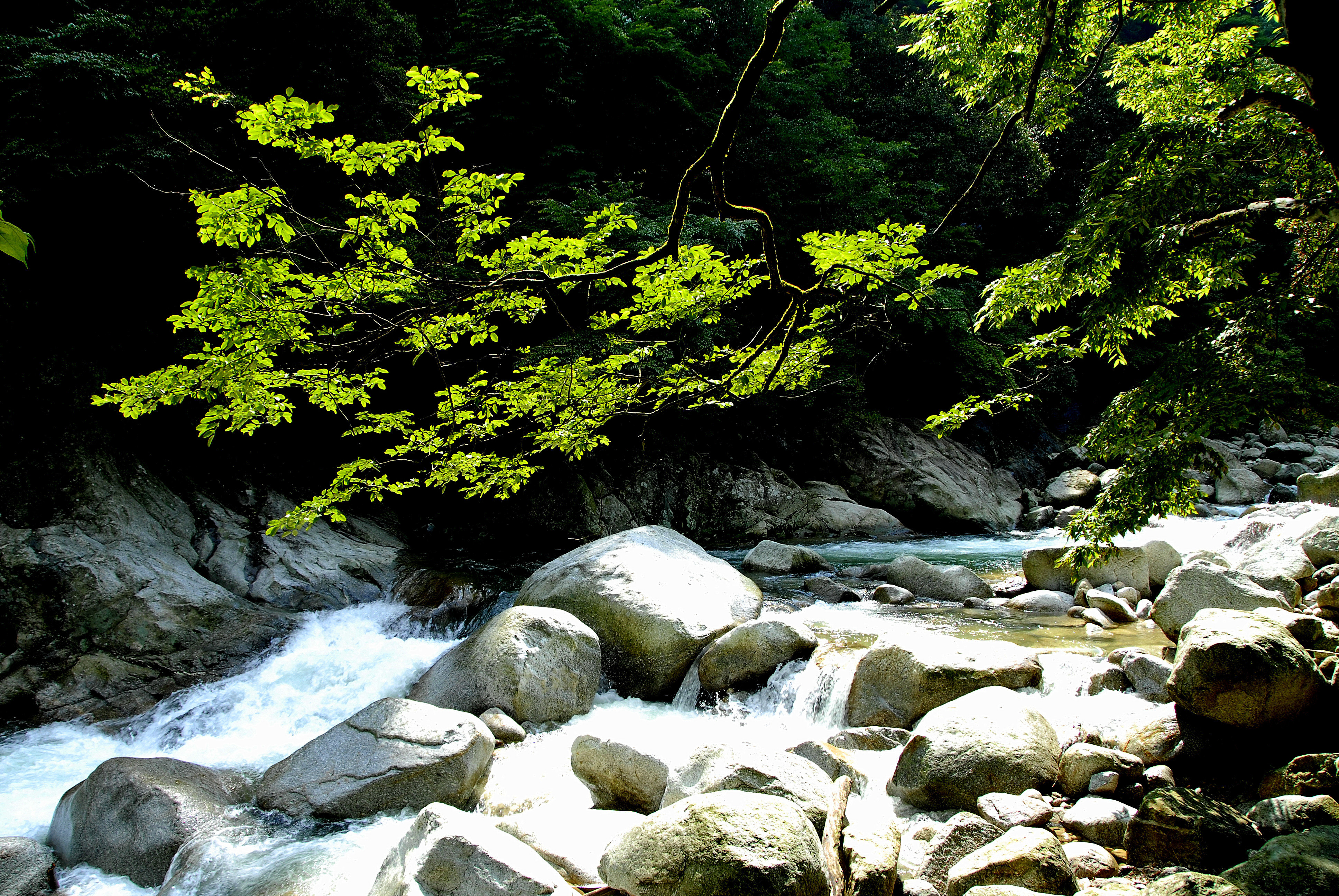 神农架_神农架旅游线路_神农架旅游攻略