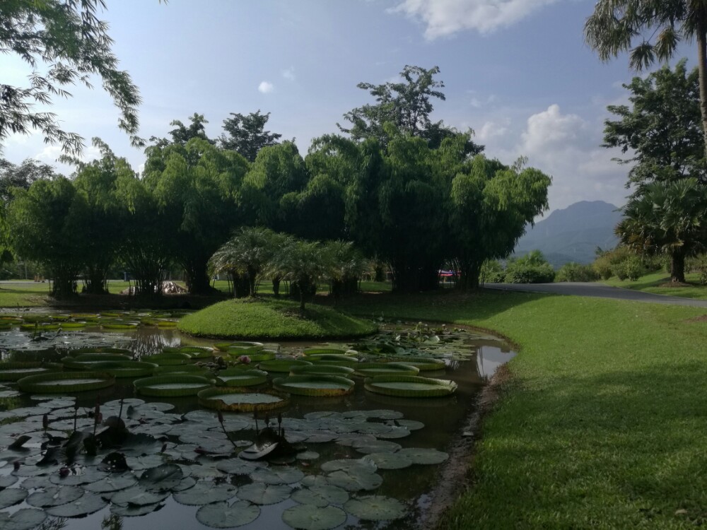 亚洲象云南的自然保护区有哪些？