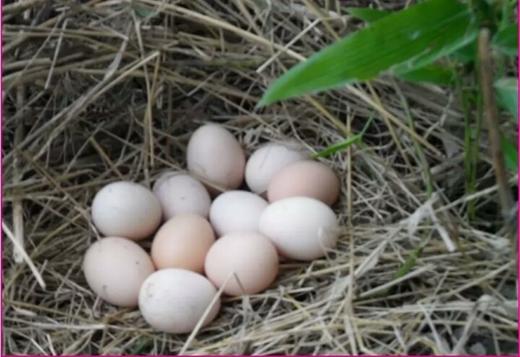 黔东南苗族侗族自治州_黔东南_黔东南是贵州哪个市