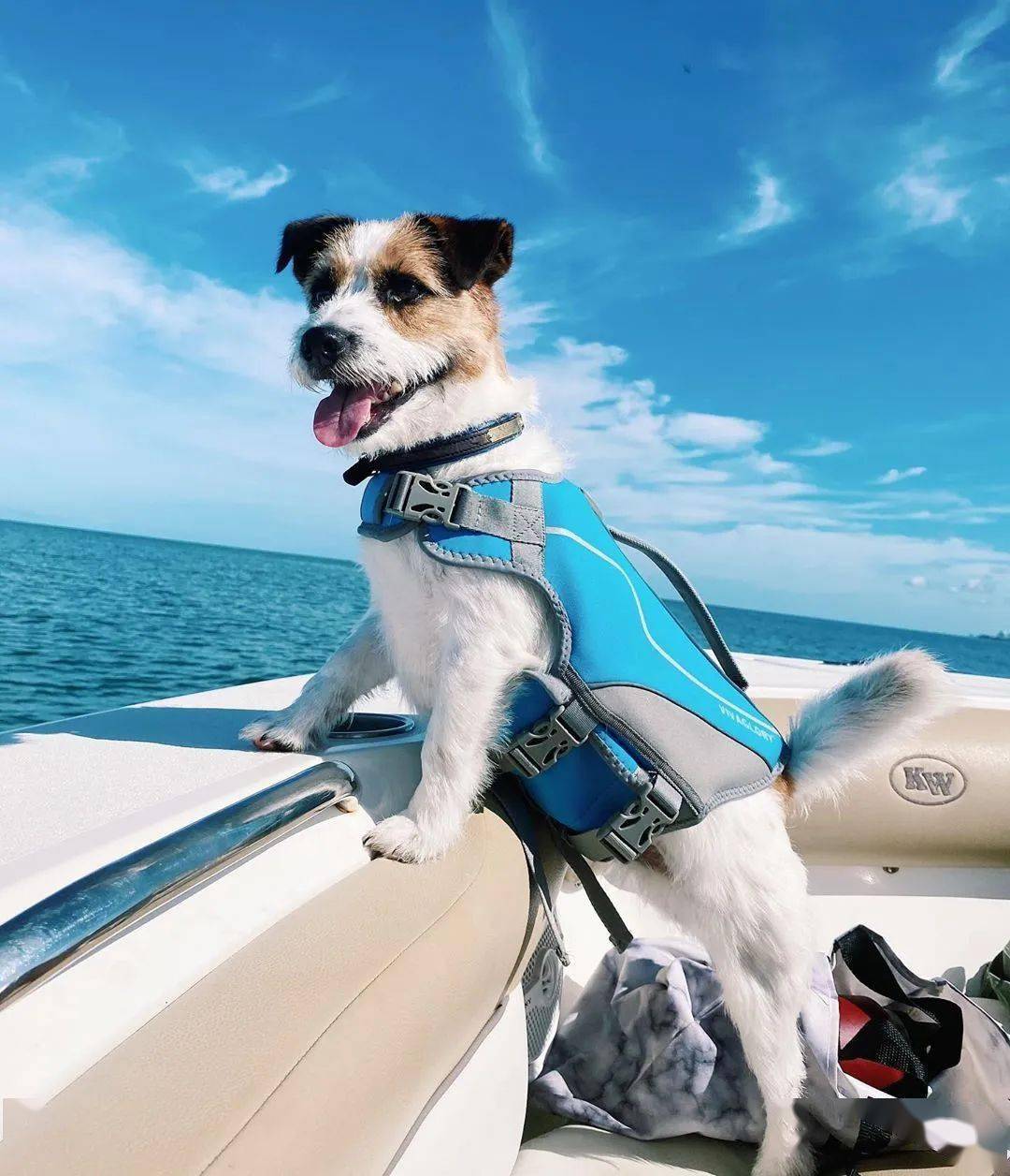 对男情人的爱称有哪些_男情人怎么称呼好听_情人之间爱称男