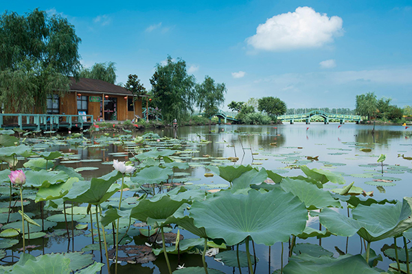 江苏值得一去的地方不少，有你家乡吗？