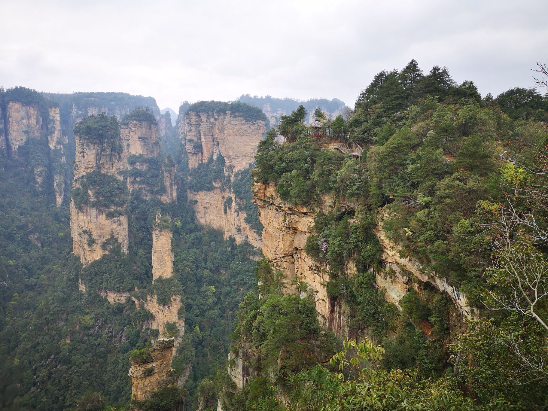 张家界森林公园--金鞭溪的入口，往返路程约10千米