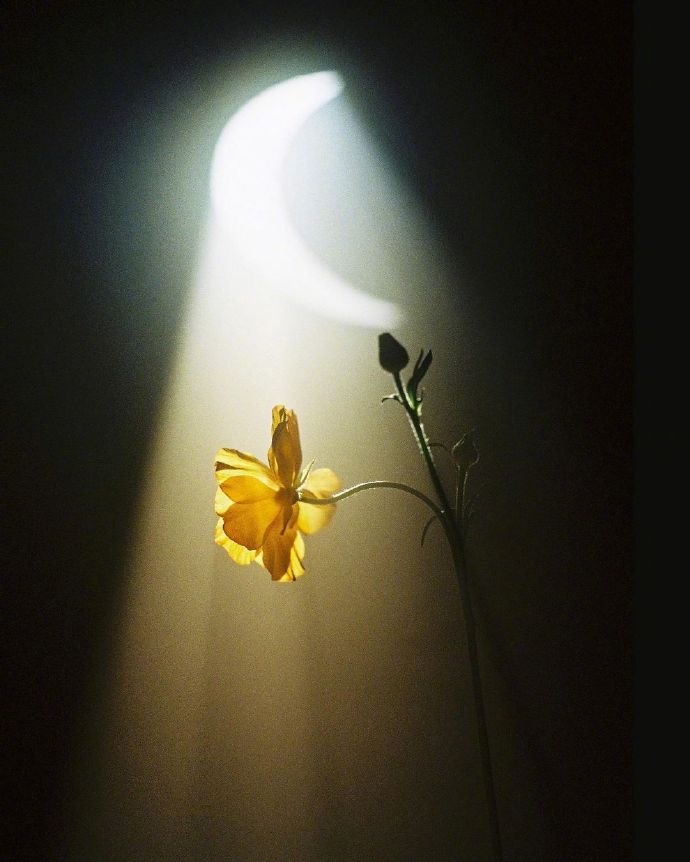 懂得欣赏自己，是一种智慧（深度好文）