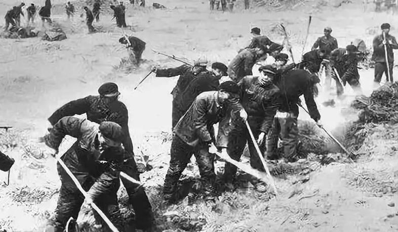 日喀则天气_日喀则海拔多少_日喀则