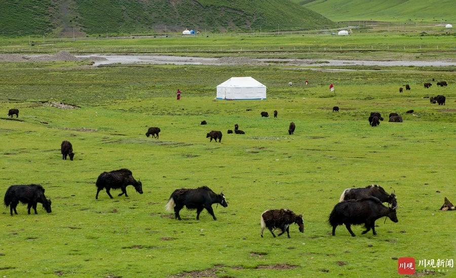 “甘孜甘孜”品牌推介暨产品展销会在成都举行