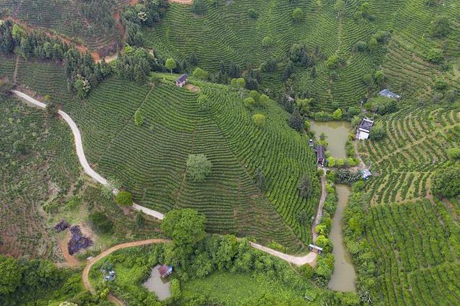 梧州_梧州学院_梧州天气