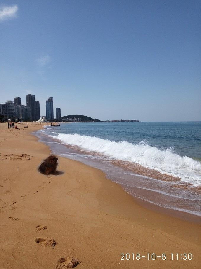 威海最美海岸线城市推荐,你去过几个?(图2) 威海乐威海_威海_威海乳山银滩-威海游记