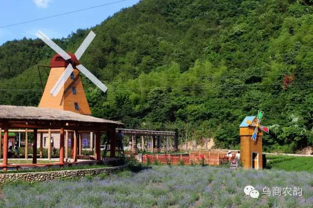 中国男足没能踢进卡塔尔,但义乌制造在世界杯上形成“统治力”(图2) 义乌开展汽车消费补贴活动_义乌_义乌小商品批发一手货源