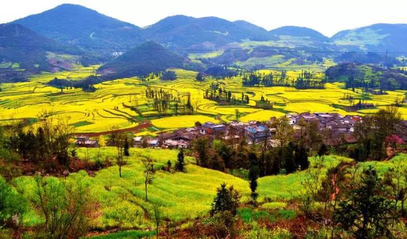 曲靖一中在曲靖哪里_曲靖_曲靖旅游景点