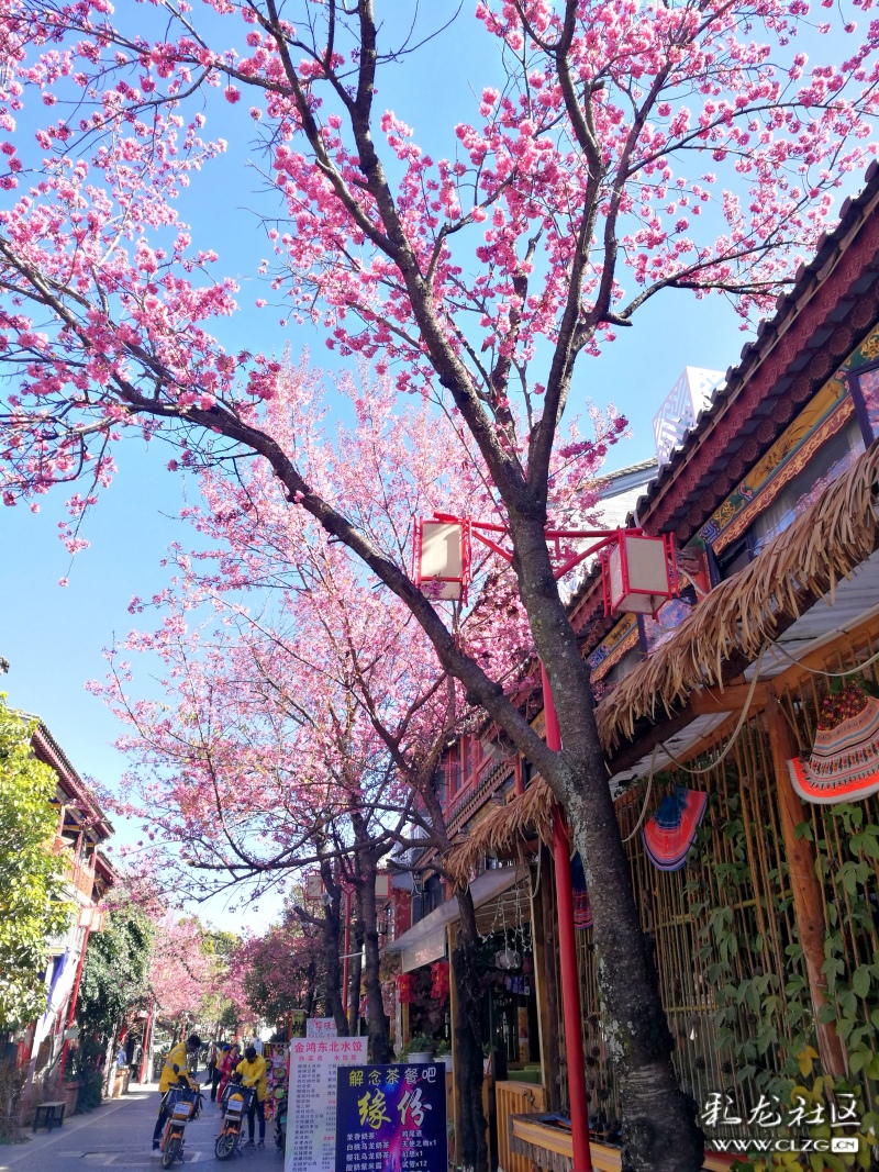 历史悠久的屯堡文化,让安顺成为名副其实的康养福地(图1) 贵州安顺安顺一中_安顺_安顺天气