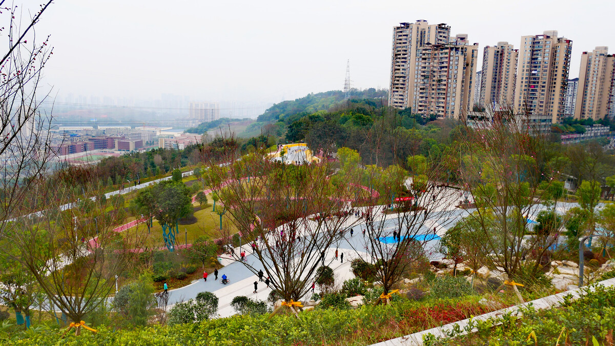 重庆两江新区打造“一半山水一半城”高品质生活示范区(图2) 天府新区国家级新区_新区医院_新区