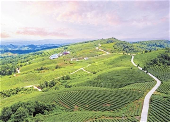 海南白沙探索绿水青山转化为金山银山新路径