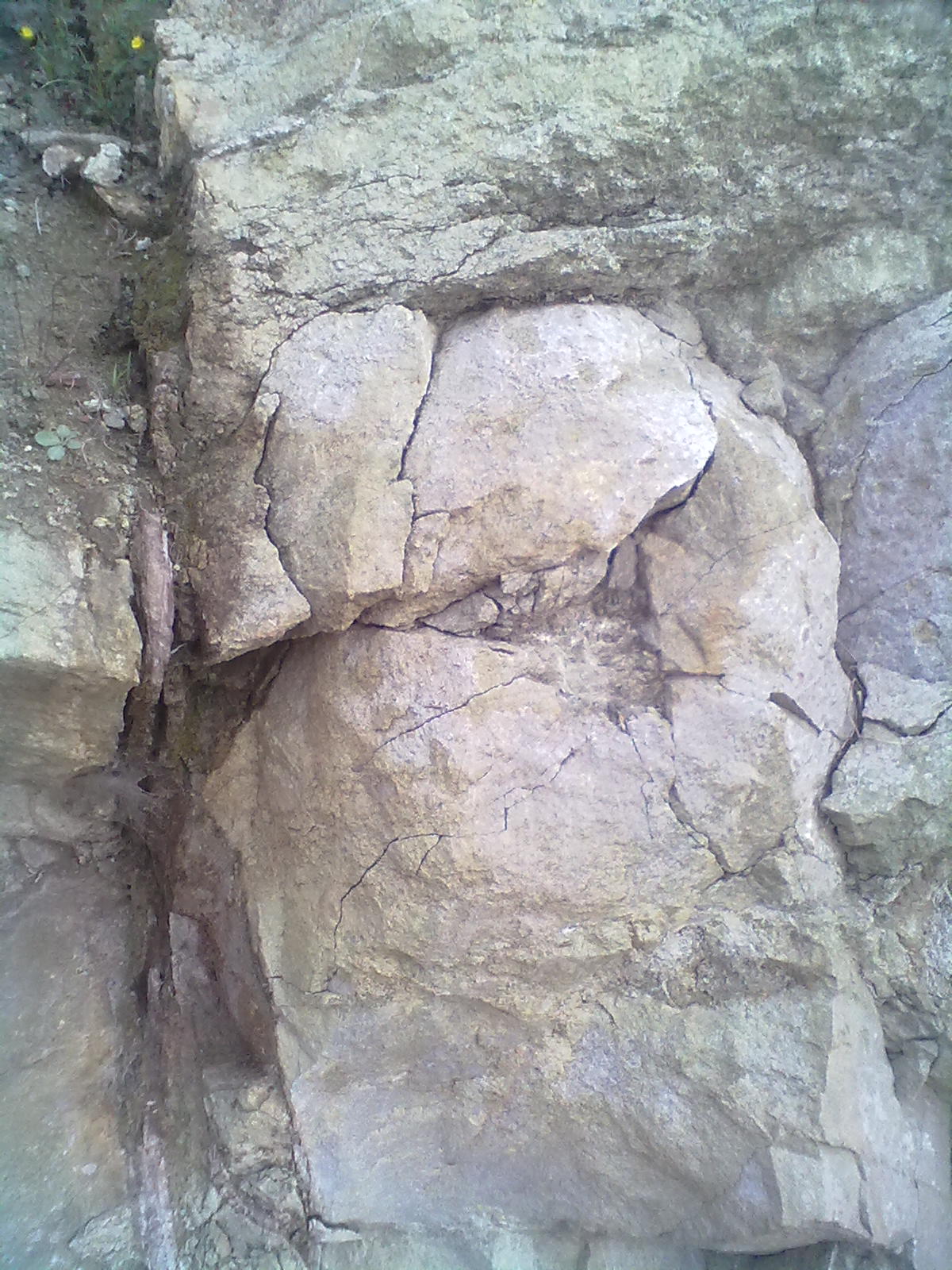 淮南_淮南寿县到淮南_淮南在哪个省