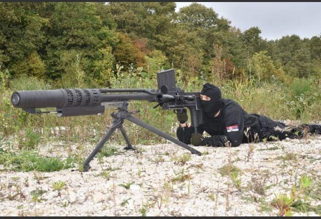 塞尔维亚枪击案的影响已明显超出案件本身(图2) 伦多新闻报道_新闻报道说_新闻报道百度百科