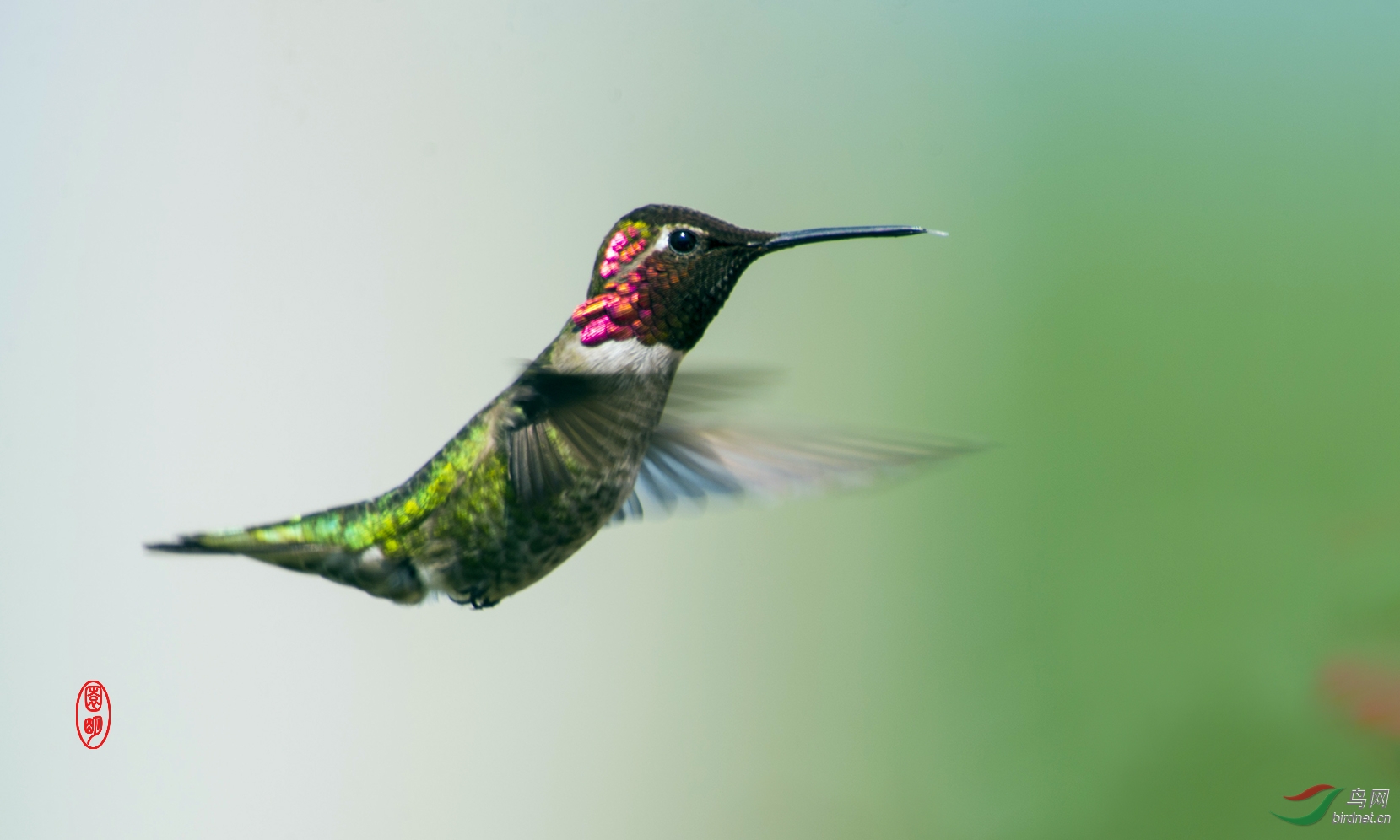 雄安夜场新闻资讯_新闻资讯新闻_北京雄安首开动车新闻