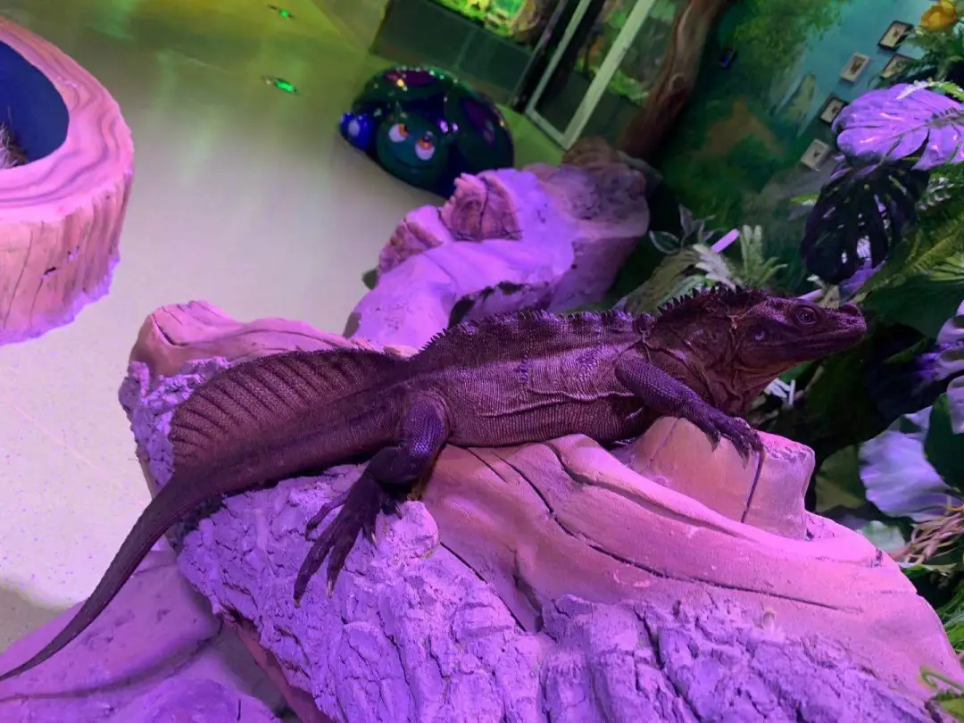 燕郊水榭花城房价12500元/平米的楼盘供你了解(图2) 燕郊seo_燕郊律师_燕郊