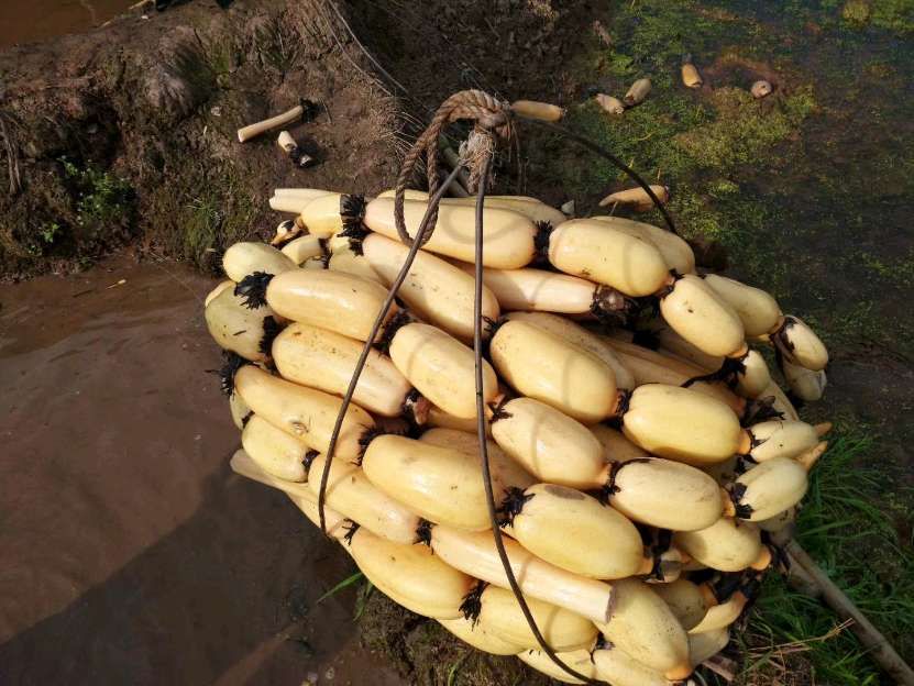 扬州人喝上了本地产高端苏打水