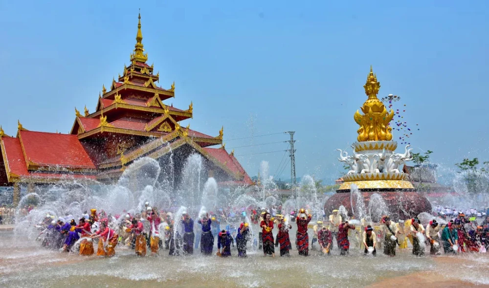 走进热带雨林,来一次奇妙的冒险之旅吧!