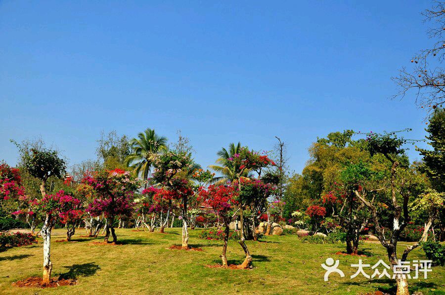 (蒙古记忆)西双版纳的热带雨林景观和少数民族风情(图2) 西双版纳_西双版纳机场叫什么_昆明到西双版纳火车