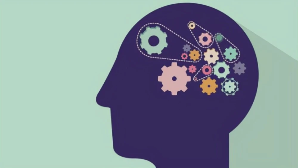 心理治疗的角度在认知心理学中，记忆是指什么