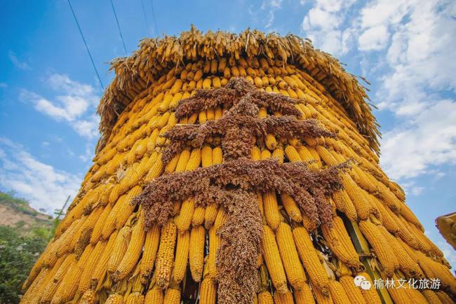 沭阳_沭阳天气_沭阳新河租房沭阳吧