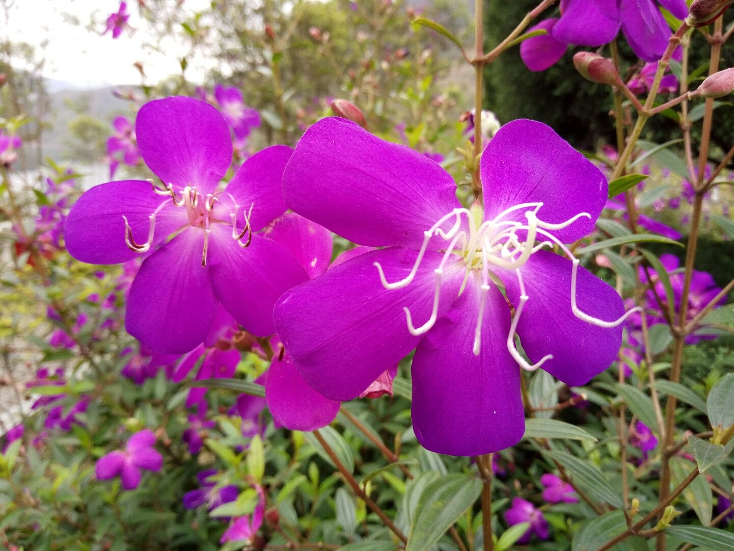 揭阳包括哪些县市揭阳市？揭阳有哪些？怎么样？