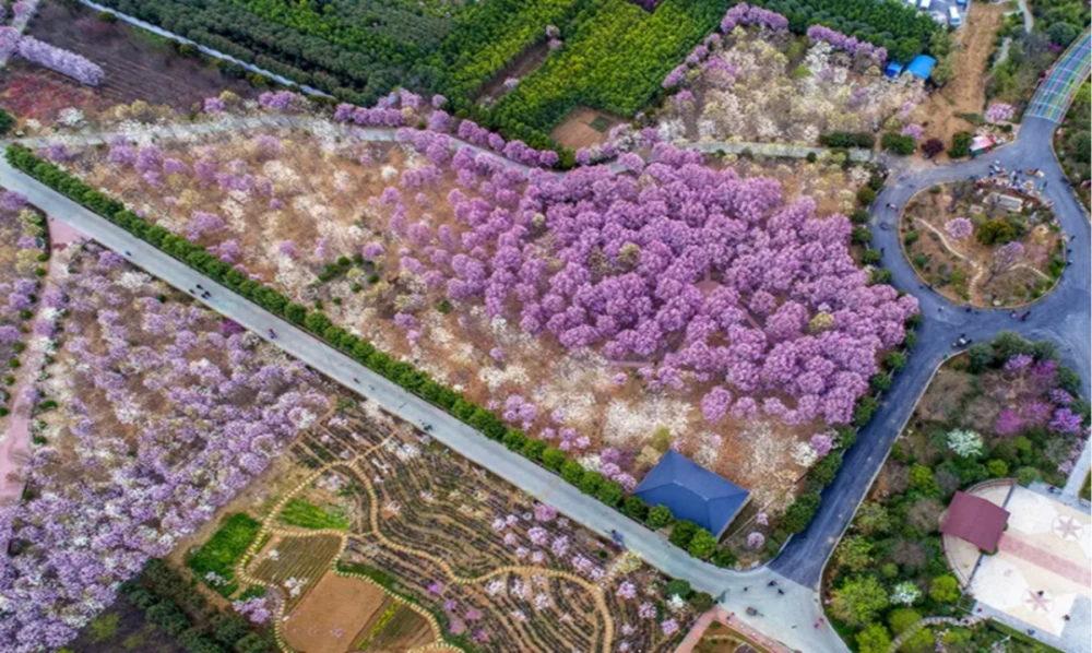 “国家级滨湖新区申请是否通过”KTV回复:已报国务院审批