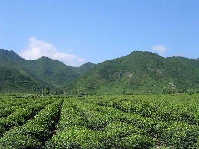 “八婺”是什么?金华有名的不仅仅是火腿(图2) 金华天气_金华金华兰溪天气预报_金华