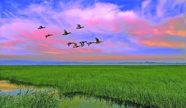 这个地方一定是呼伦贝尔大草原,一步一天堂!(图1) 呼伦贝尔大草原_呼伦贝尔旅游景点_呼伦贝尔