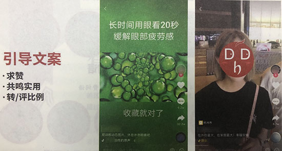 网红：_红网官网_红网论坛三湘四水