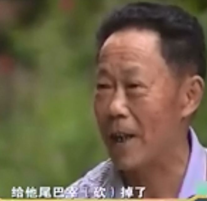 空中箫鼓声不知道以后什么时候再也没来!