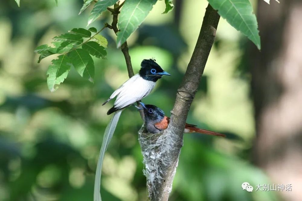 武夷山_武夷山一日游最佳路线_武夷山在哪个省