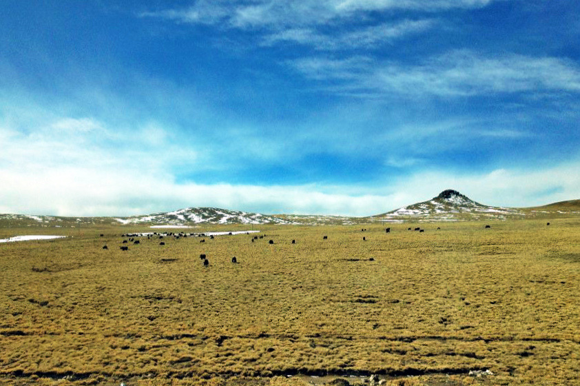 那曲市开展消防安全集中除患_那曲_那曲海拔多少