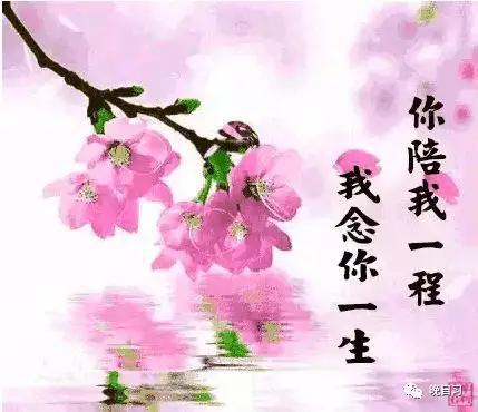 真正的爱情,就是相濡以沫,患难见真情