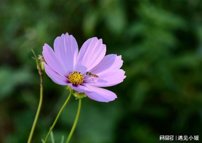 为什么现实中,很多人的婚姻,都是时间越久就越寡淡?(图2) 男人泡妞视频大全男人骗女人_男人:_男人头像
