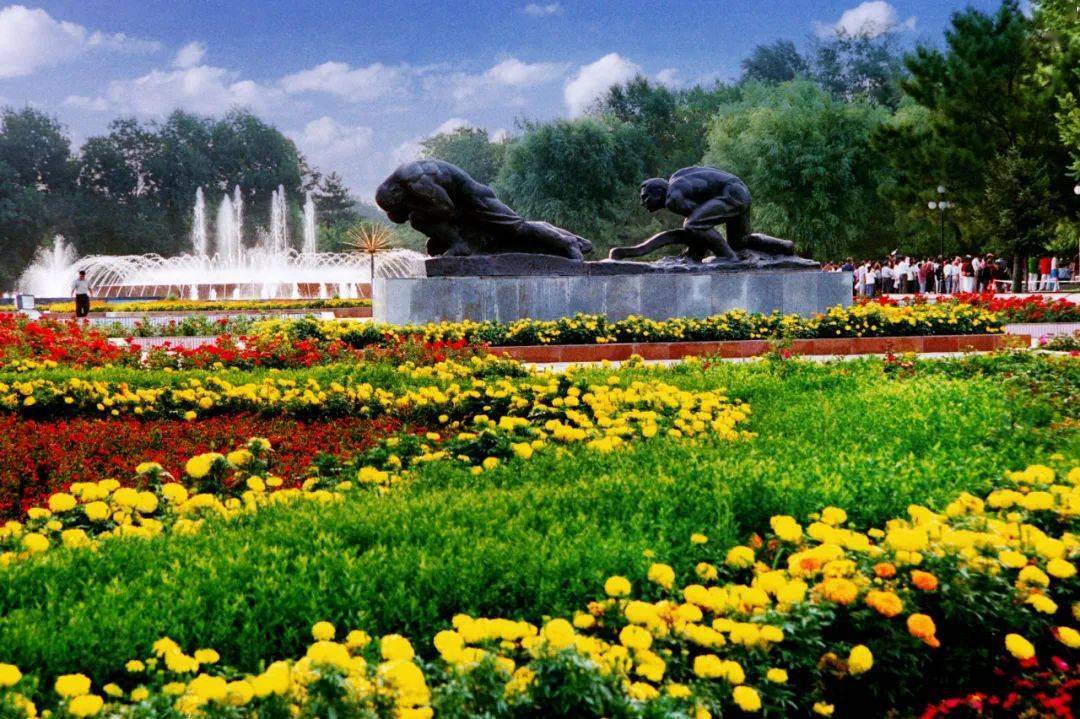 石河子市的学校有哪些?(石河子篇)