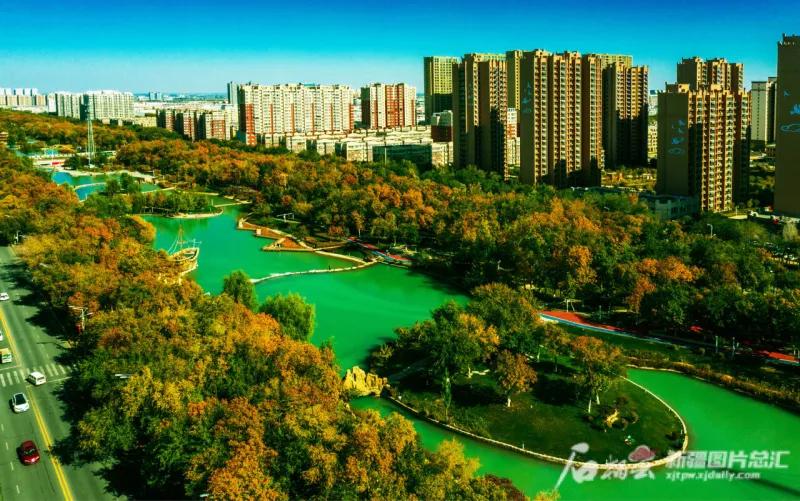 石河子_石河子大学_石河子医院