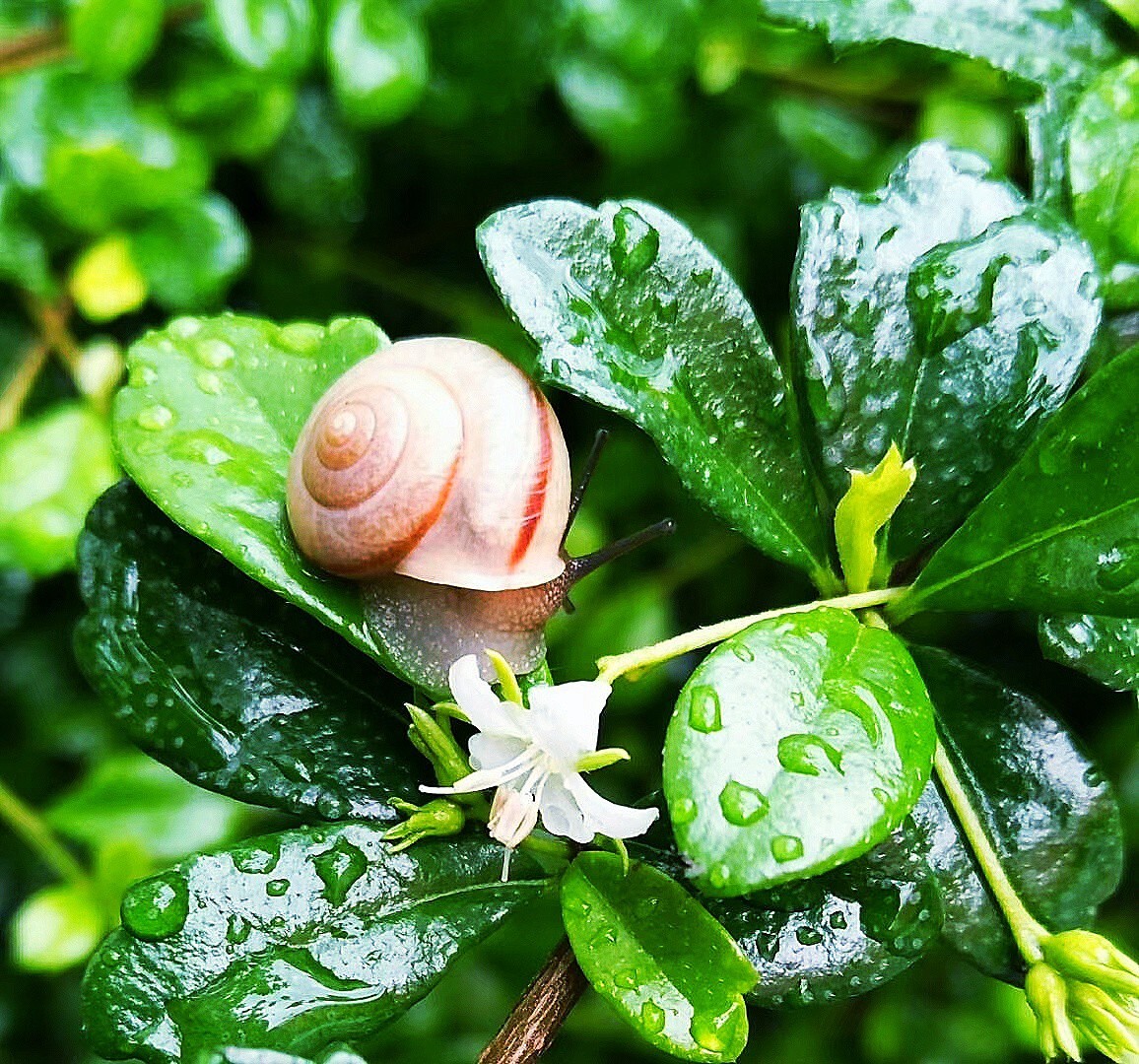 在外国卖的好国货化妆品十大排行，你知道吗？