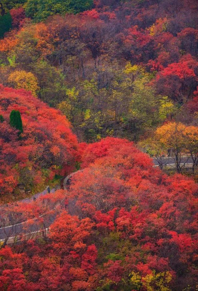 四川省各市州GDP排行榜,你的家乡上榜了吗?