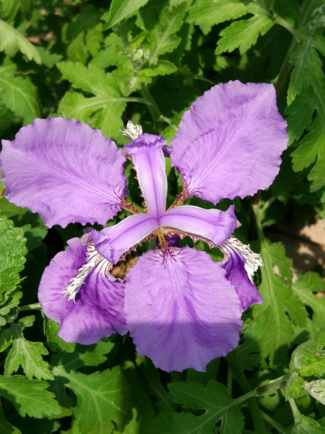 宋代以前的徐州，比之后的显赫一些，你知道吗？