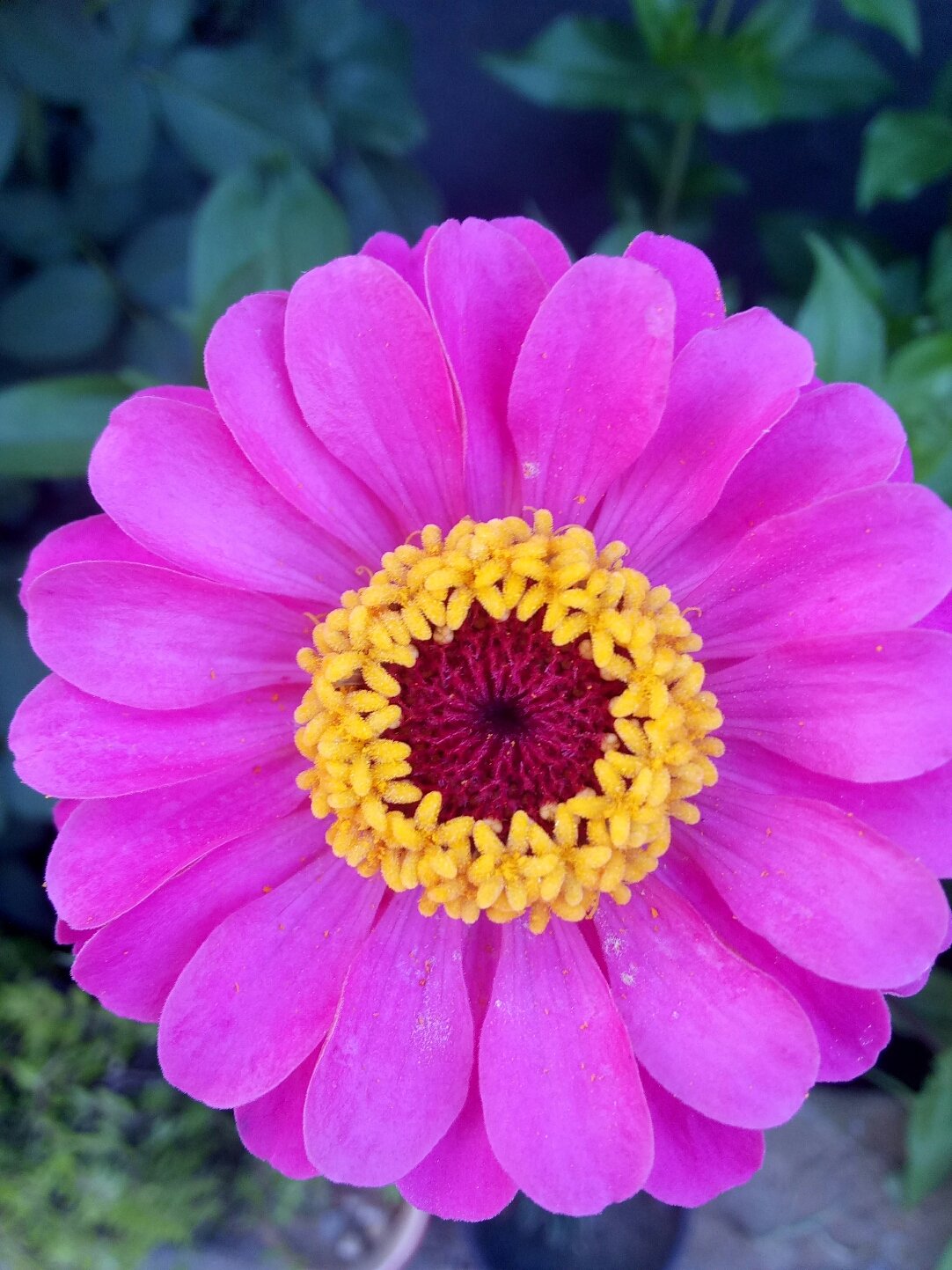 徐州属于哪个省_徐州_徐州天气