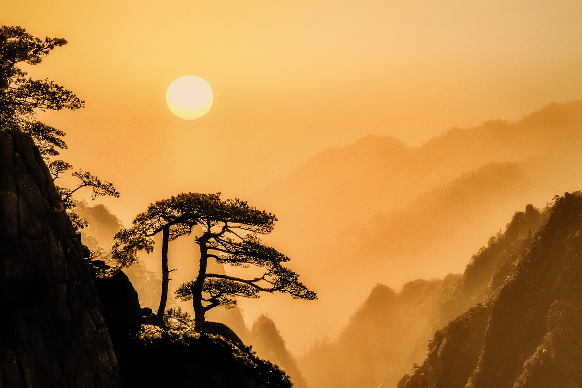 迎客松香烟价格回味_香烟迎客松_迎客松香烟：