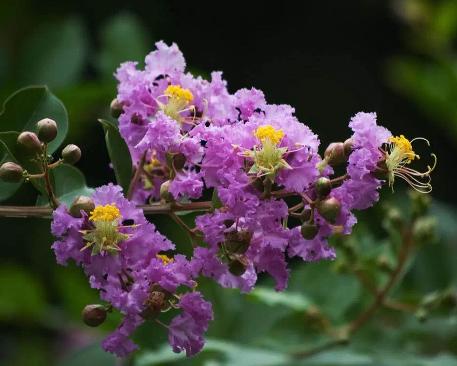 芜湖天气_芜湖安徽日报芜湖 小编站_芜湖